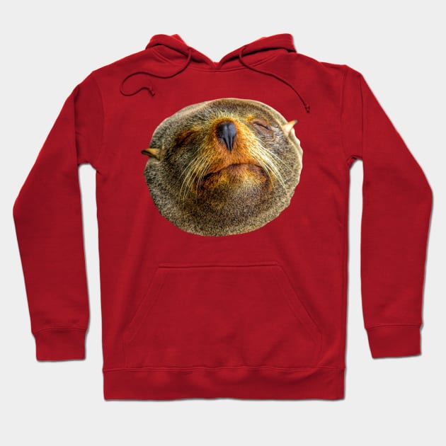 Happy Seal Hoodie by dalyndigaital2@gmail.com